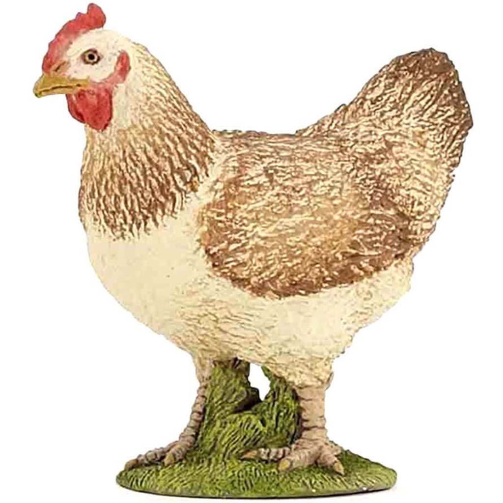 PAPO Hen 