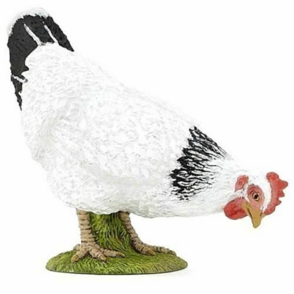 PAPO Pecking White Hen 