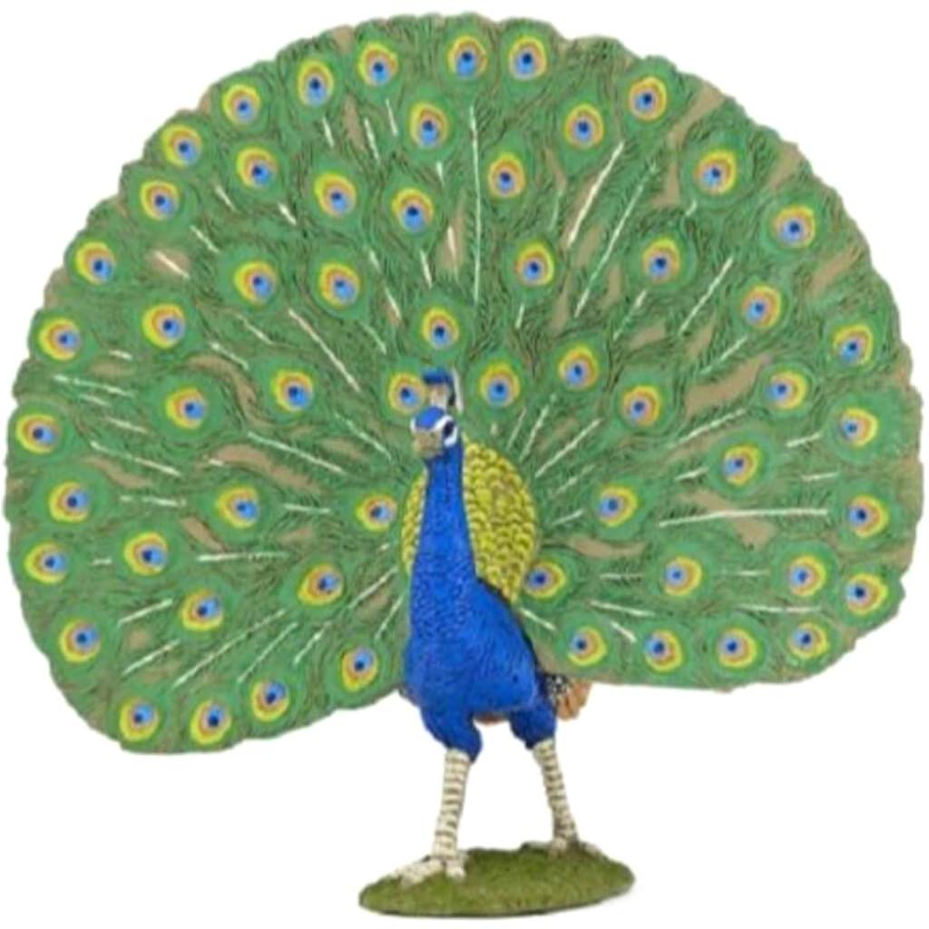 PAPO Peafowl 