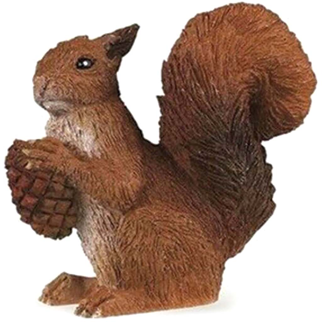 PAPO Squirrel 