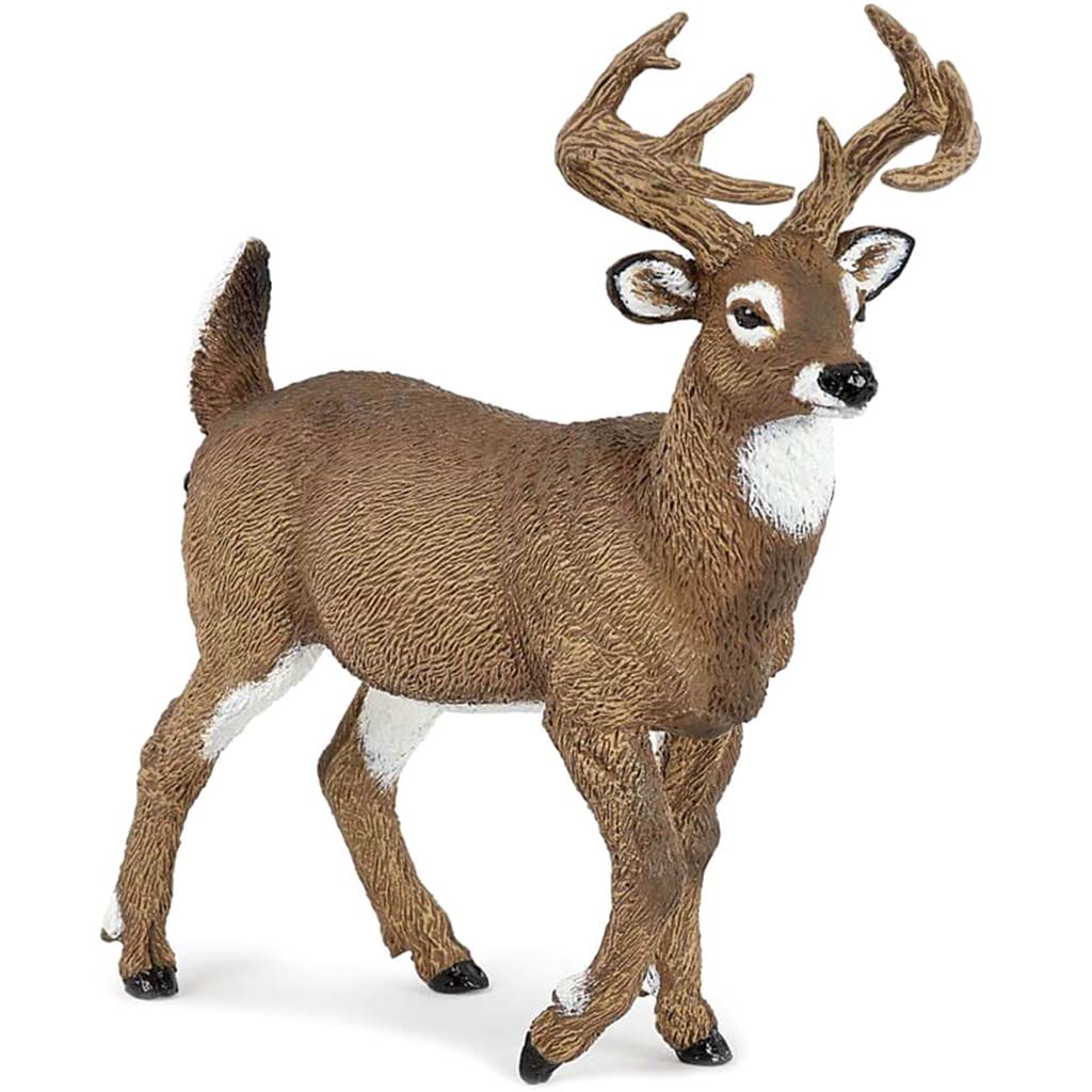 PAPO White Tailed Deer 