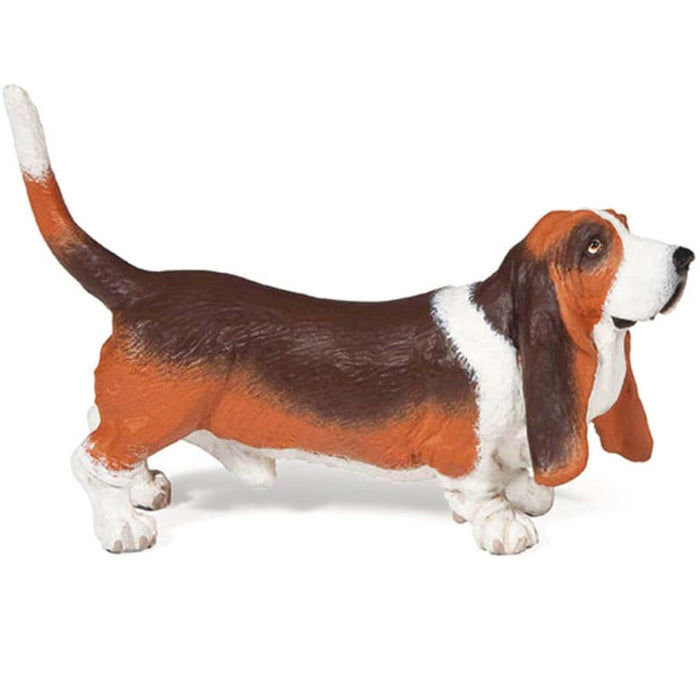 PAPO Basset Hound 