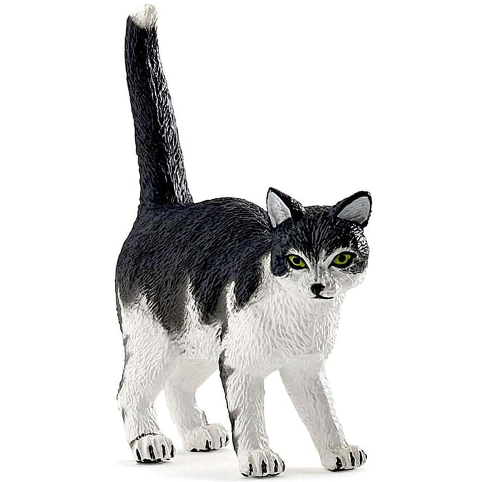 PAPO Black And White Cat 