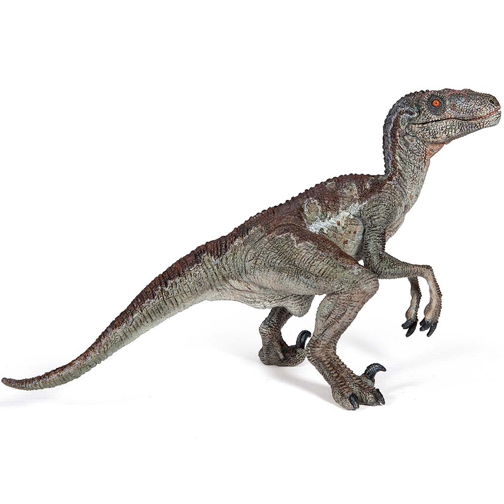 PAPO Velociraptor 