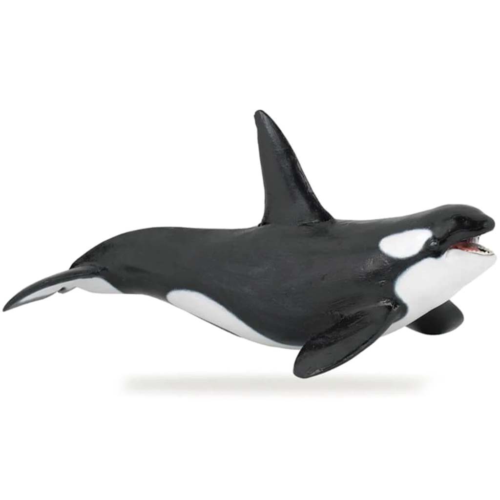 PAPO Killer Whale 