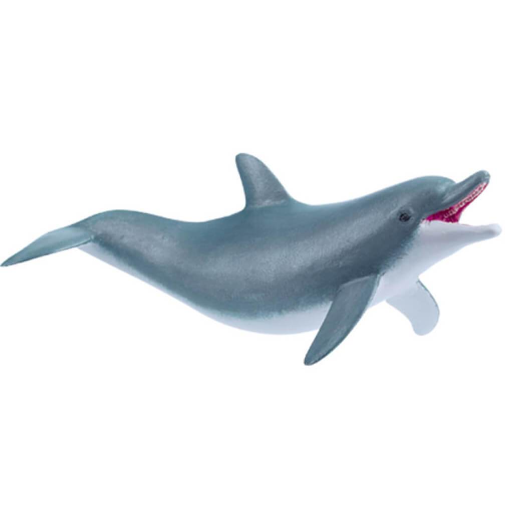 PAPO Dolphin, Playing 