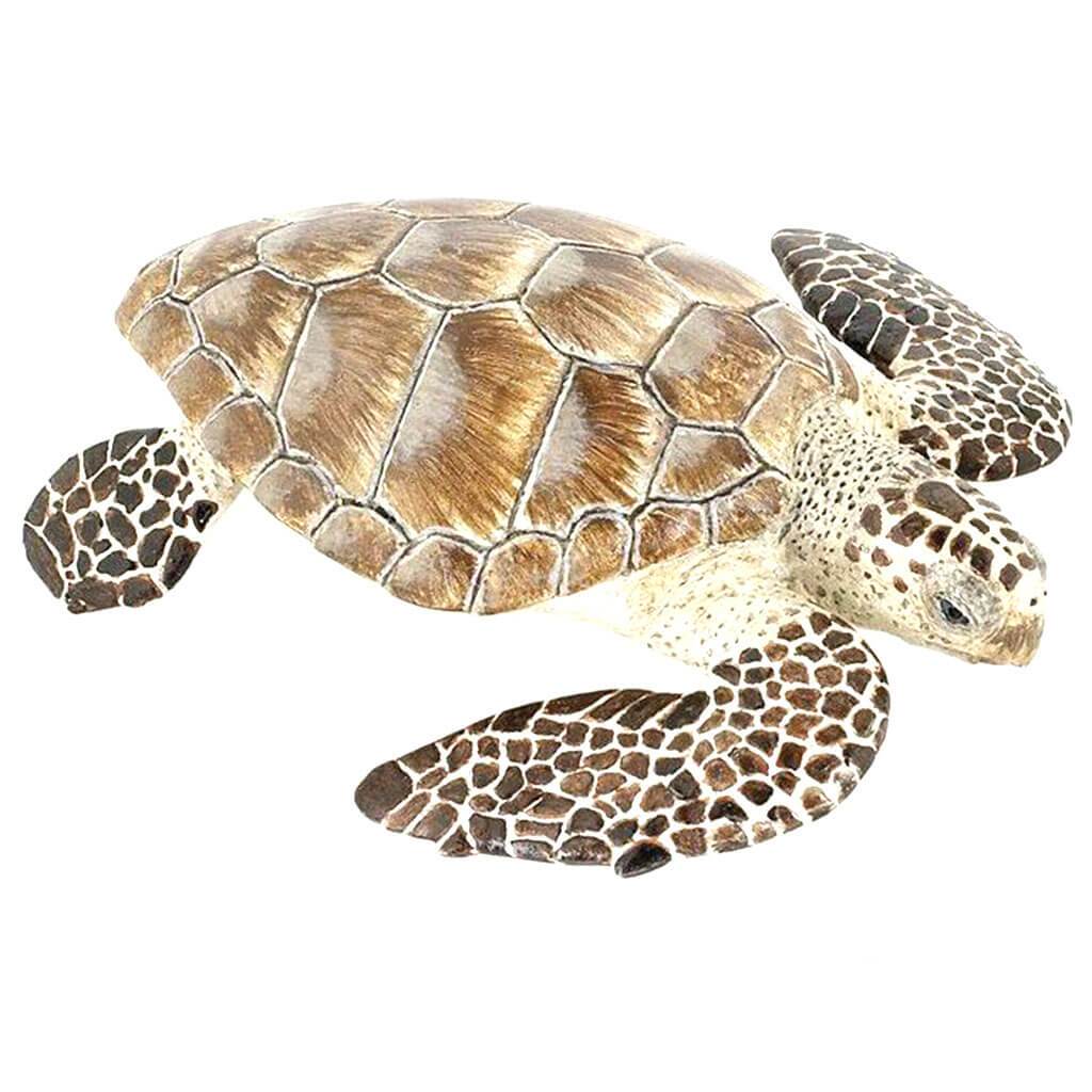 PAPO Turtle Cacouanne 