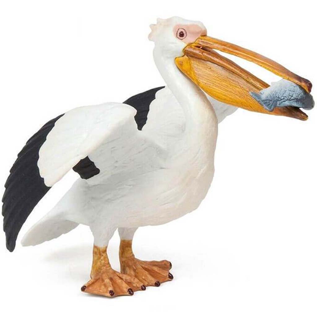 PAPO Pelican 