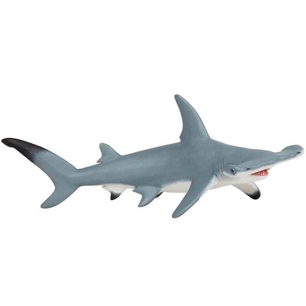 PAPO Hammerhead Shark 