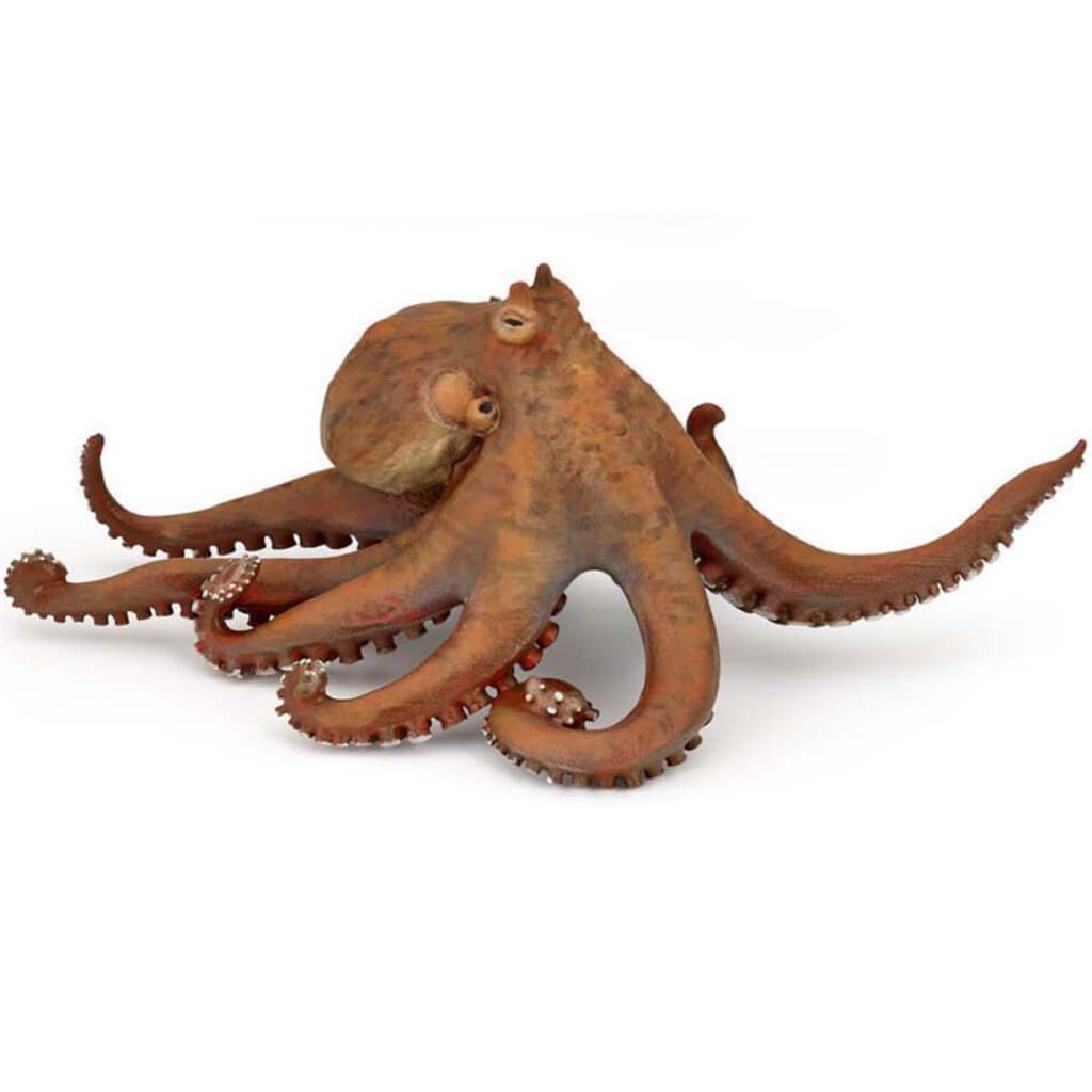 PAPO Octopus 