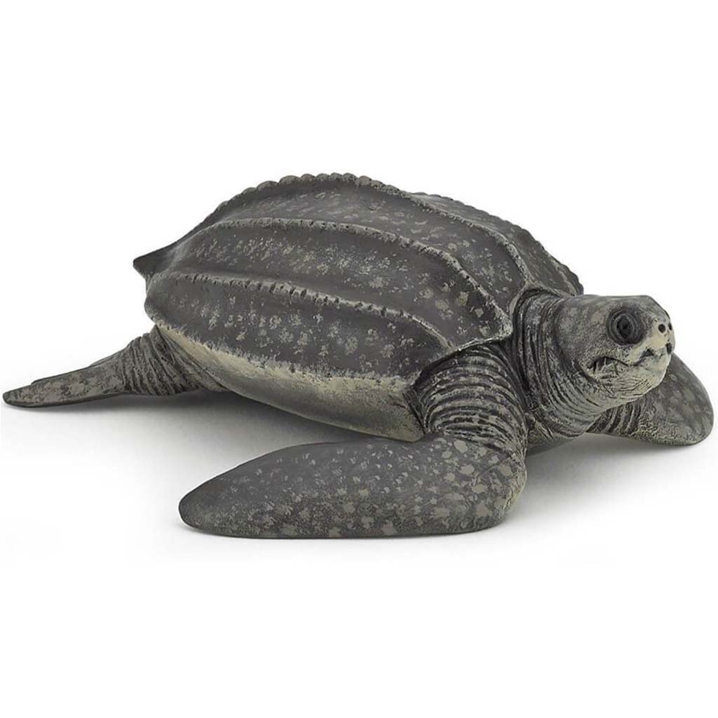 PAPO Leatherback Turtle 