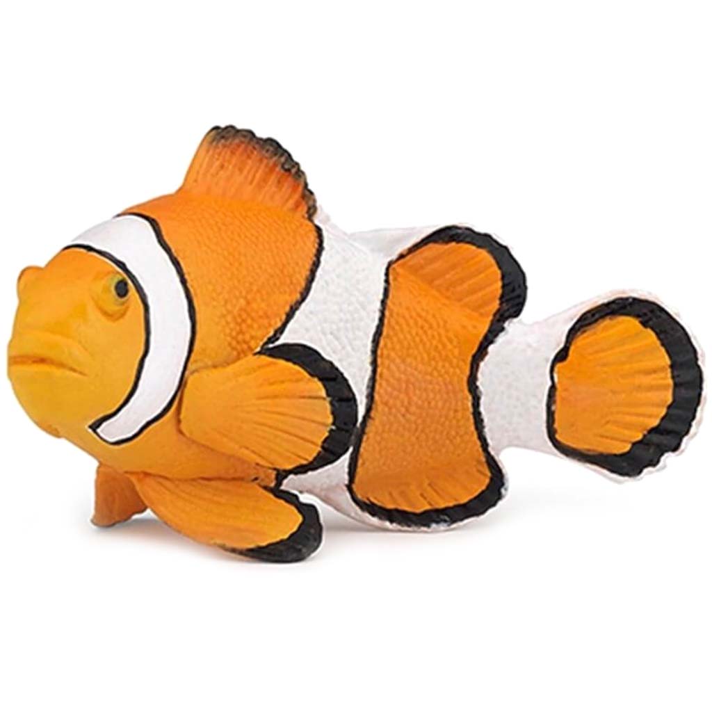 PAPO Clownfish 