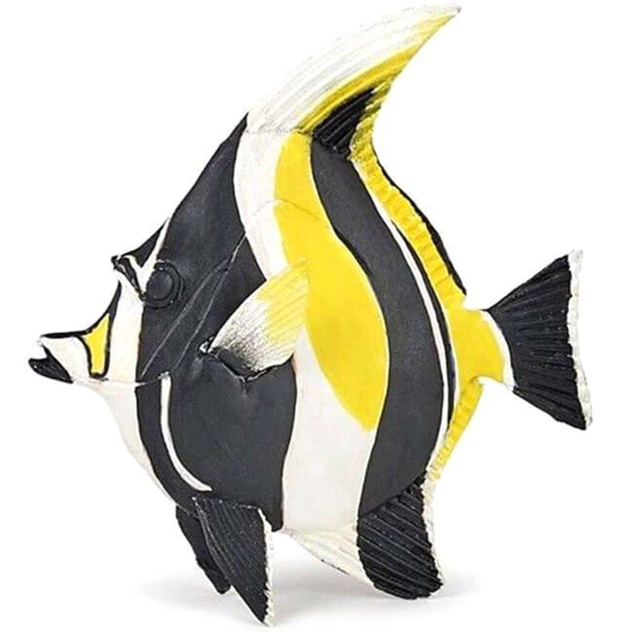 PAPO Moorish Idol 
