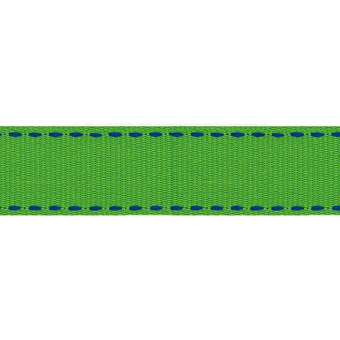 Offray Sidesaddle Craft Ribbon 5/8in x 9ft Apple Green & Electric Blue