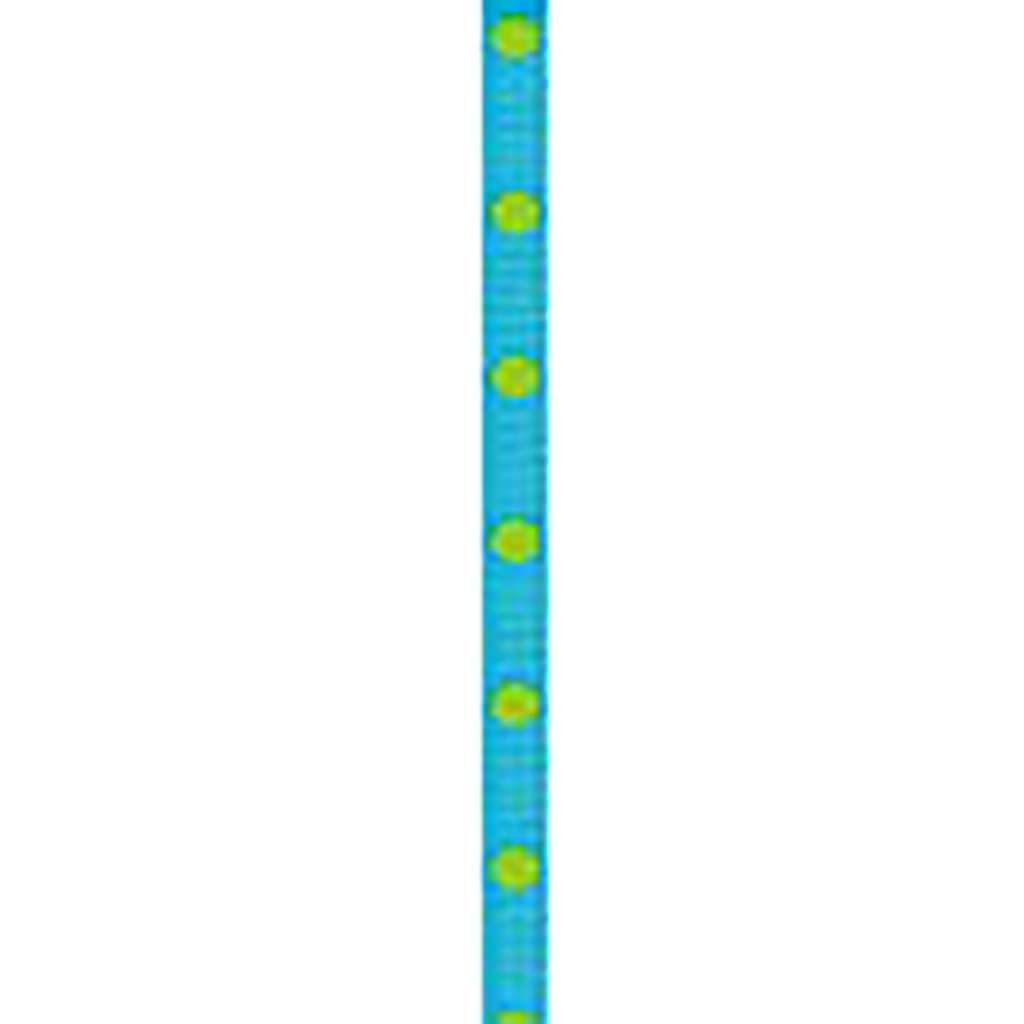 Dippy Dots Ribbon 3/8in x 9ft Turquoise &amp; Green