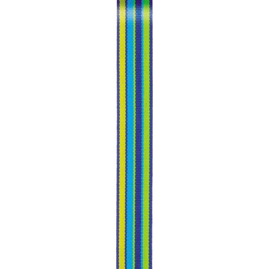 Offray Grosgrain Sweet &amp; Sour Craft Ribbon 5/8in x 9ft Yellow &amp; Blue