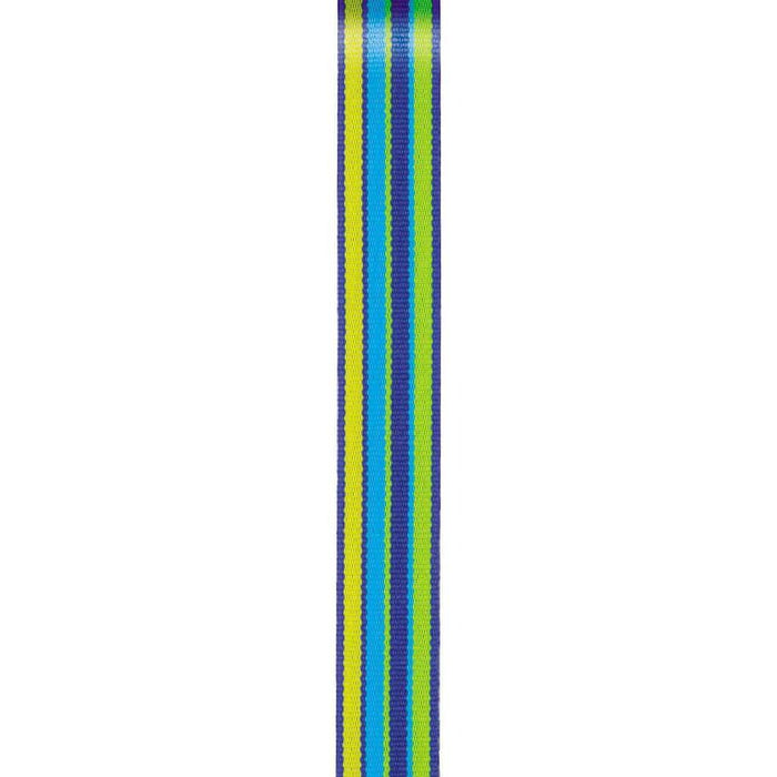 Offray Grosgrain Sweet & Sour Craft Ribbon 5/8in x 9ft Yellow & Blue