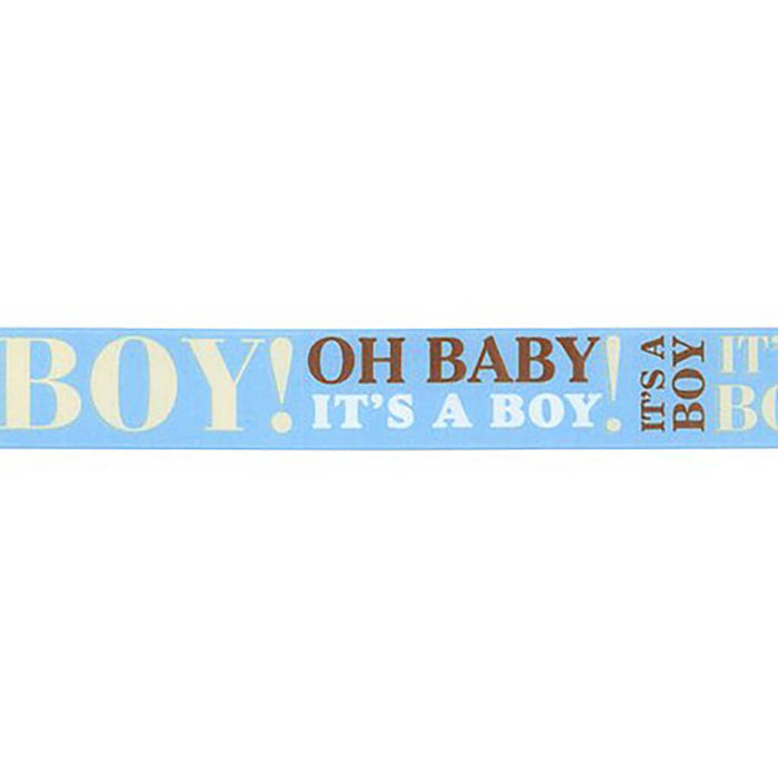 Offray Baby Announcement Craft Ribbon 7/8in x 9ft Boy
