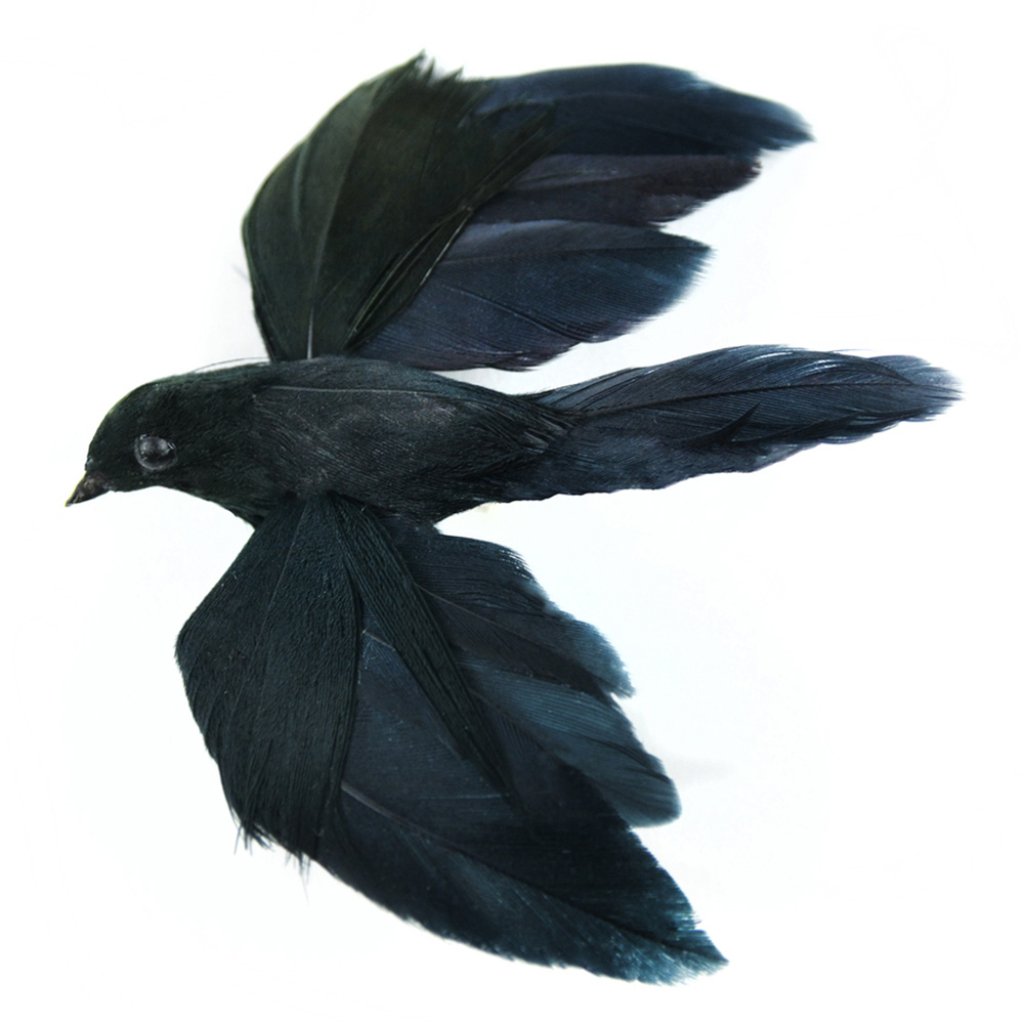 Flying Crow 2.25in Black On Wire 