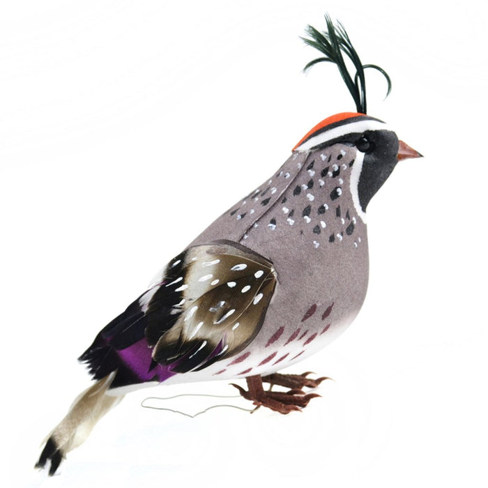 California Valley Quail Bird On Wire 5In 