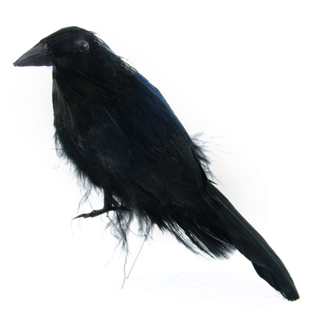 Feather Standing Crow Black On Wire 4in 