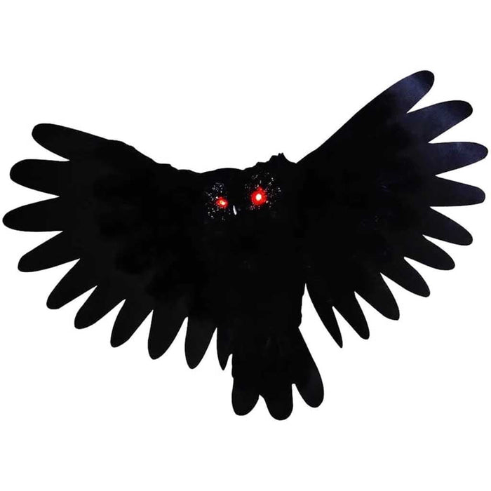 Animated Owl 