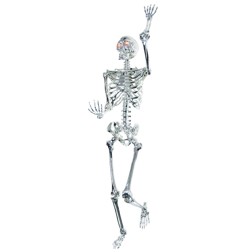 Life size Chrome Metal Look Skull Skeleton 