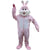 Pink Rabbit Mascot Costume