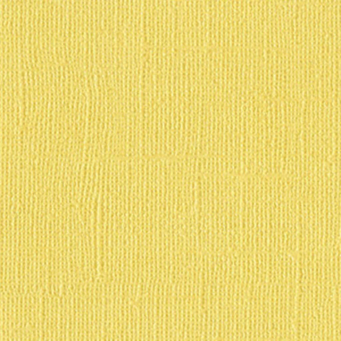 Bazzill Bling 12in x 12in Cardstock Hollywood | Shimmer Cardstock for Crafts