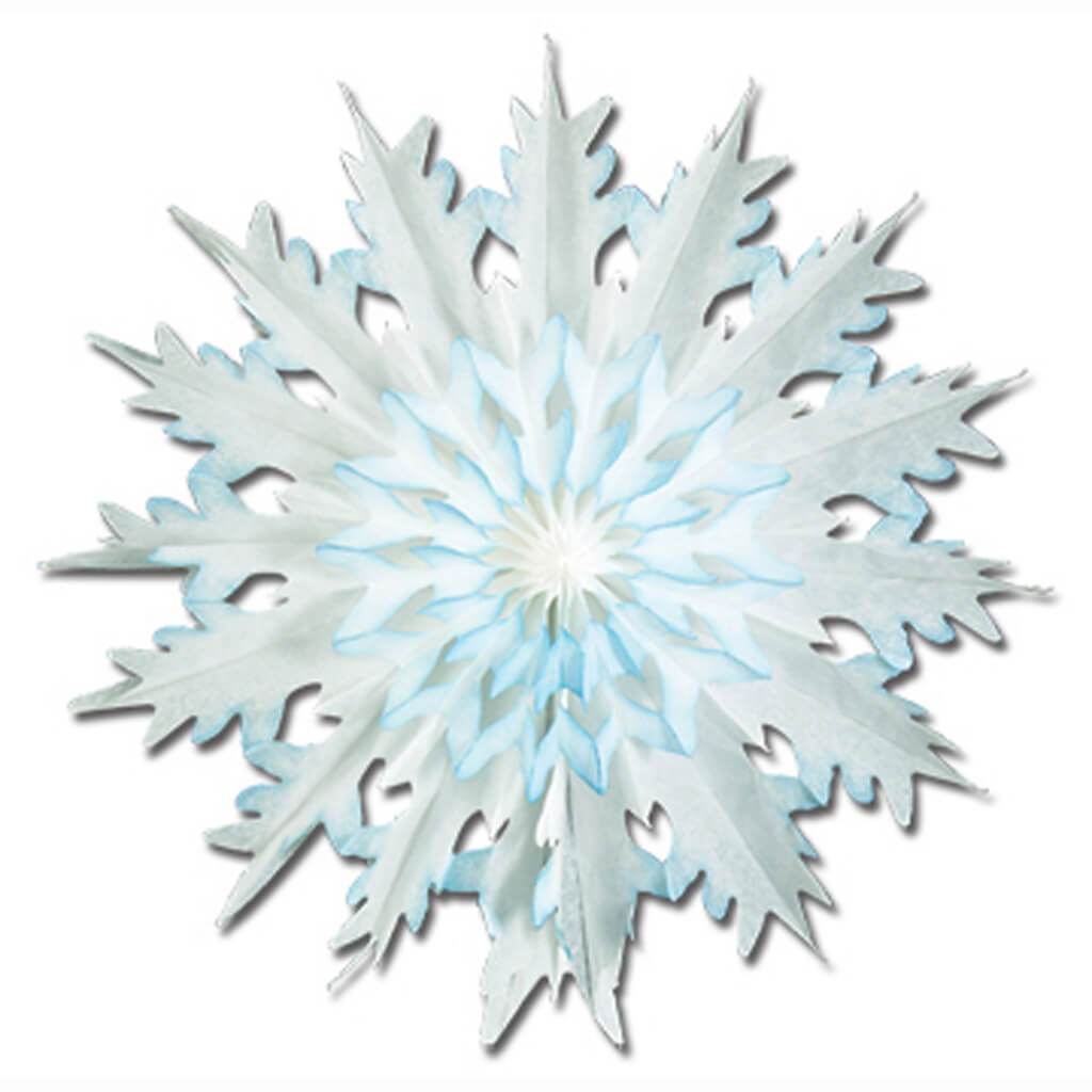 Packaged Dip Dyed Snowflakes 2pcs 