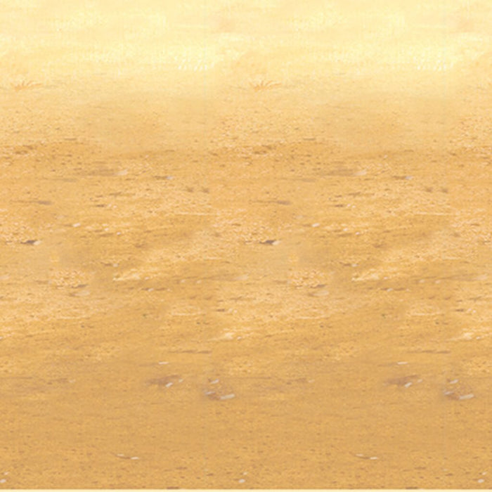 Desert Sand Backdrop 