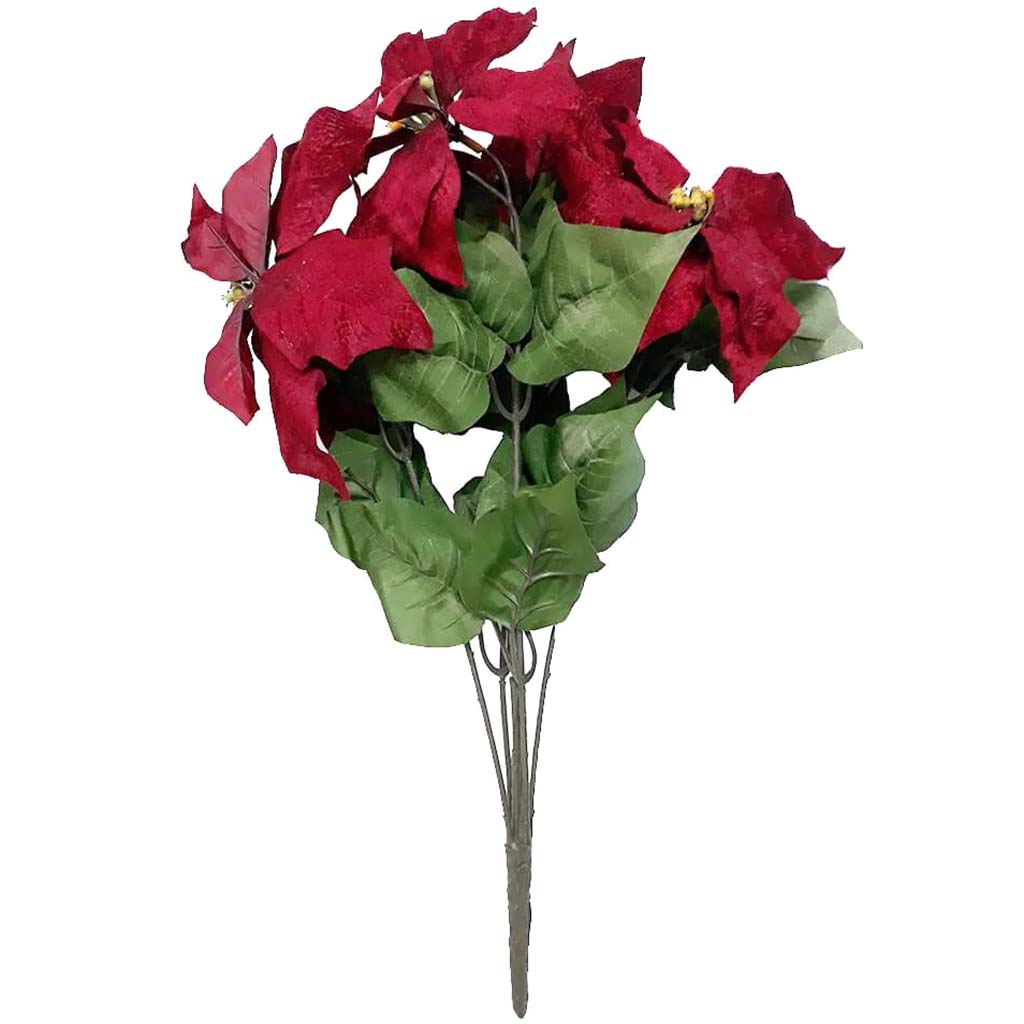 Christmas Bush Poinsettia Velvet 23in 