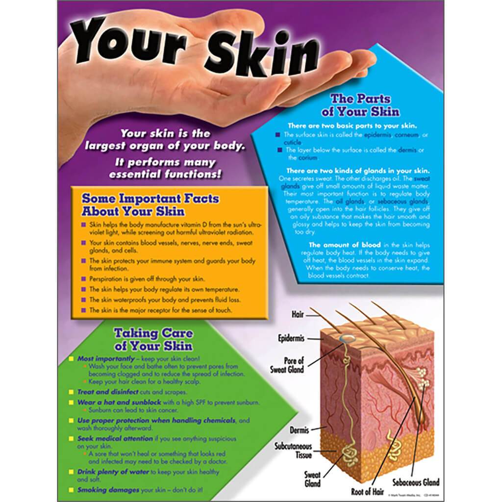 Your Skin Charts