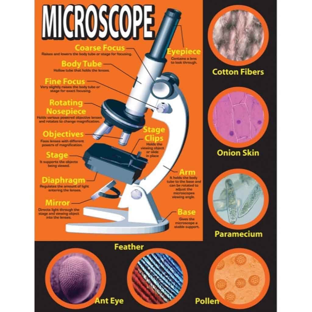 Basic Microscope Chart 