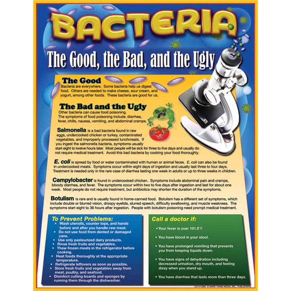 Bacteria Chart