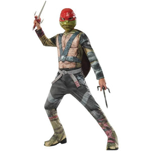 Raphael Costume