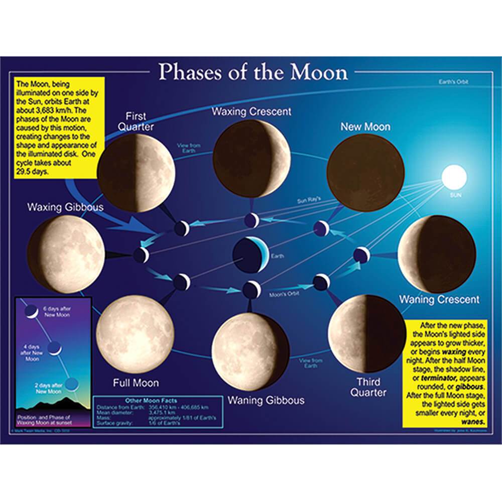 Phases Of The Moon Chart 