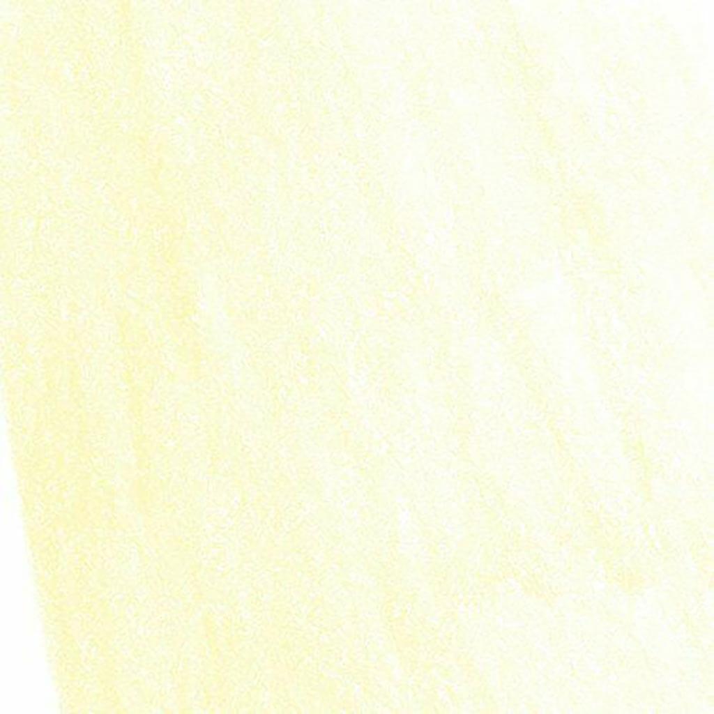 Albrecht Durer Watercolor Pencils