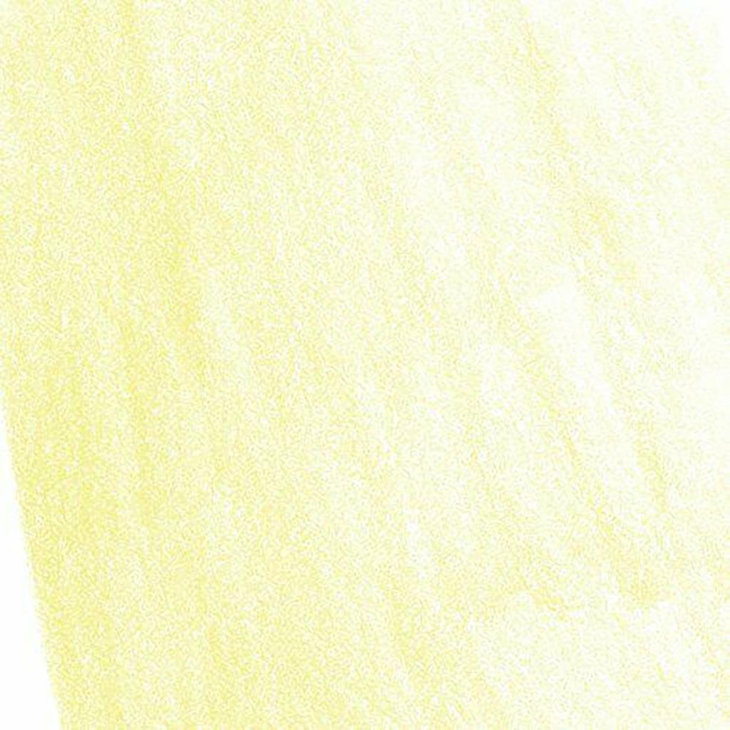 Albrecht Durer Watercolor Pencils