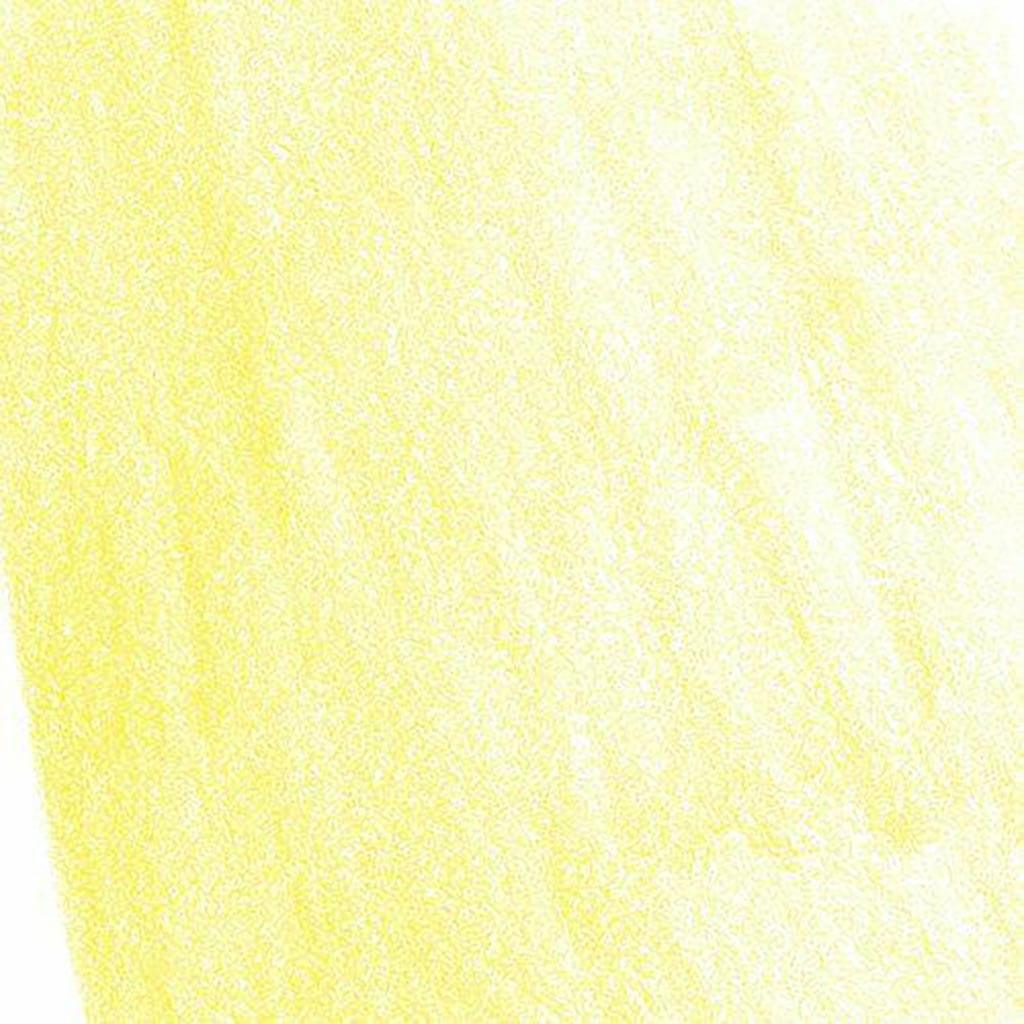 Albrecht Durer Watercolor Pencils