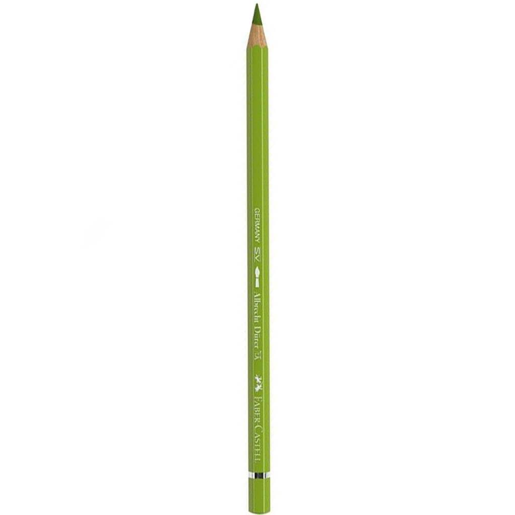 Albrecht Durer Watercolor Pencils