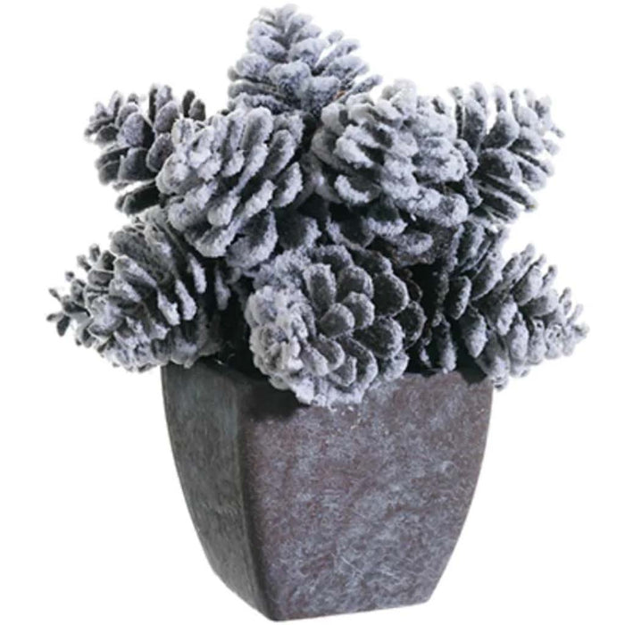 Snowed Pinecone Arrangement 