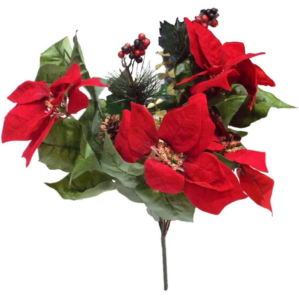 Christmas Bush Poinsettia X9 Red 20in 