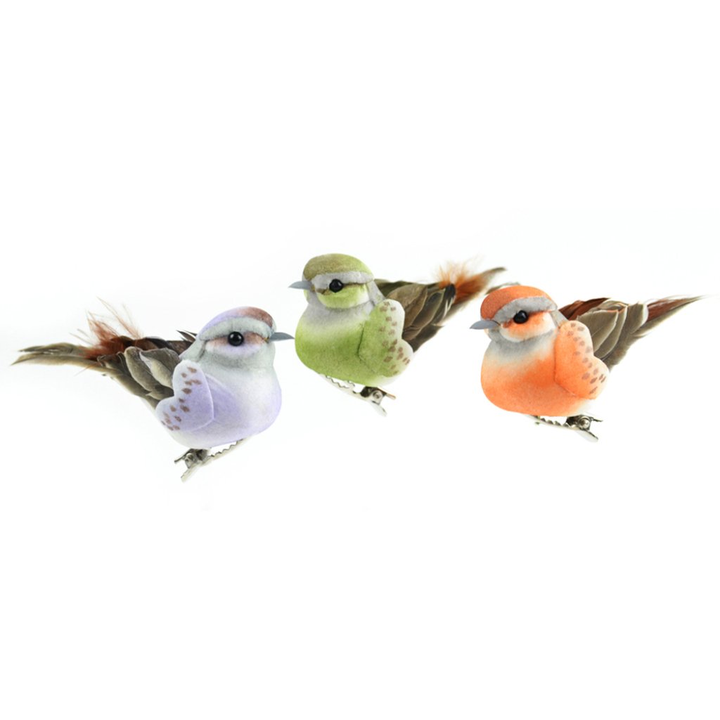 Natural Bird On Clip Assortment 4in 