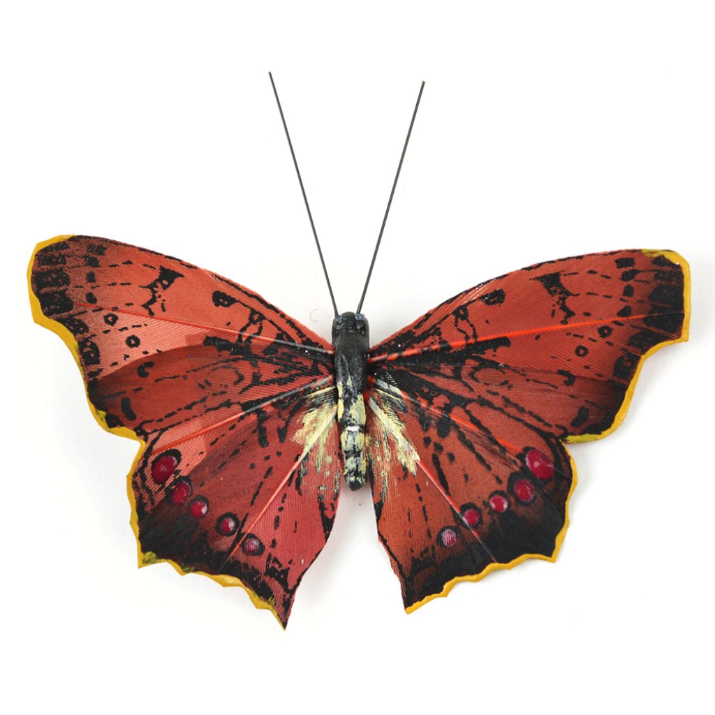 Natural Butterfly Burnt Umber With Clip 3.5in 