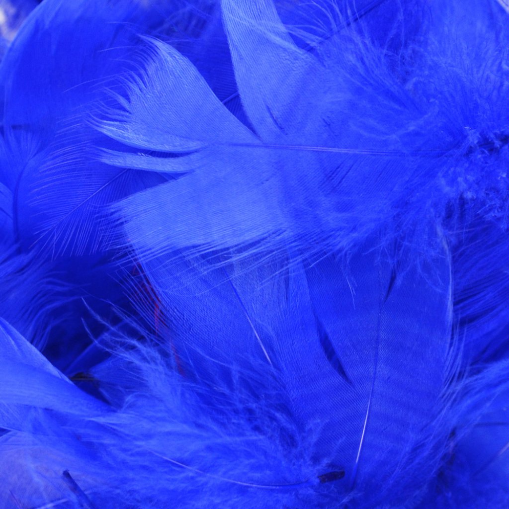 Turkey Flat Feathers 14Gm Royal Blue 4-6in 