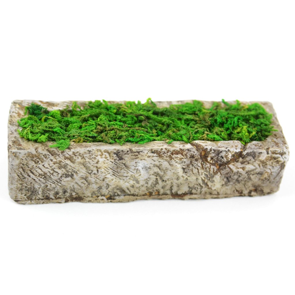 Miniature Garden Hedge 3in 