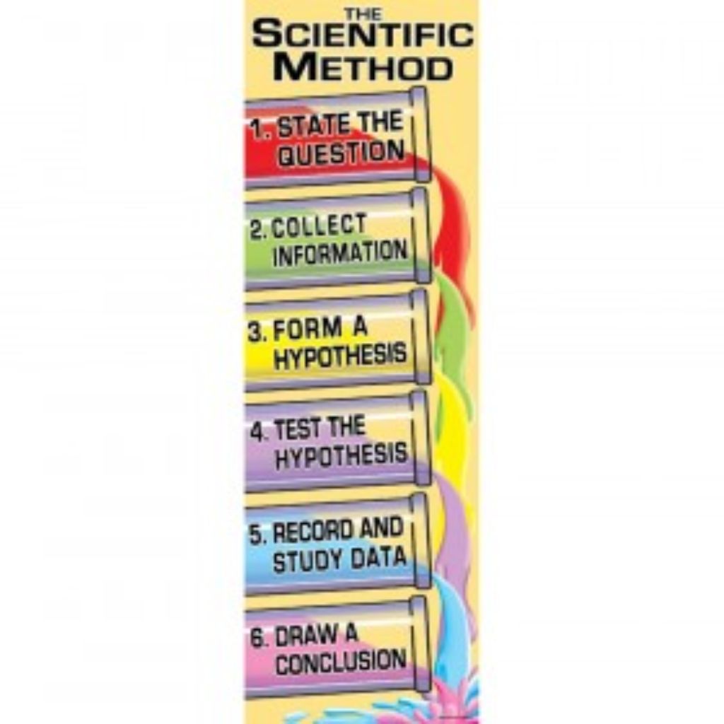 Cell Processes