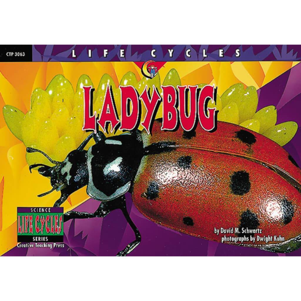 Ladybug Grade 1-4 