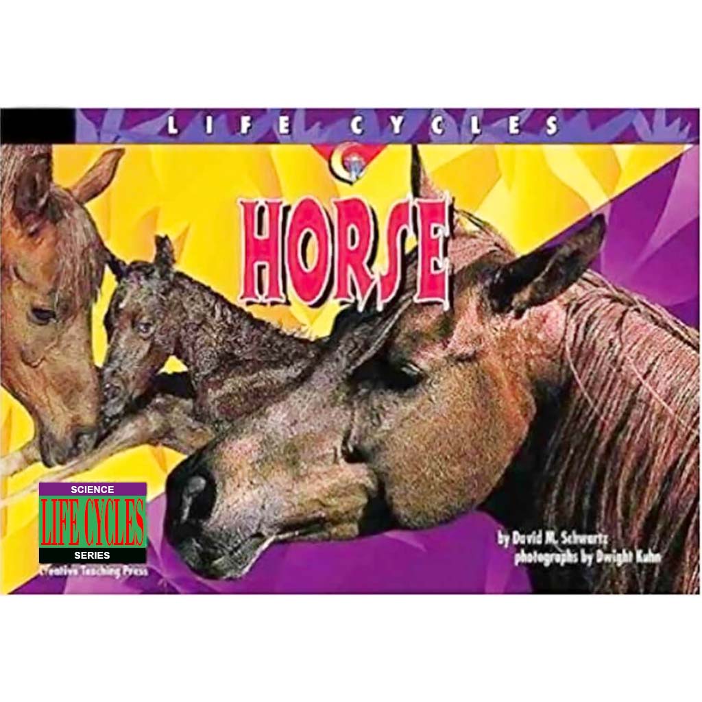 Horse Life Cycles Book